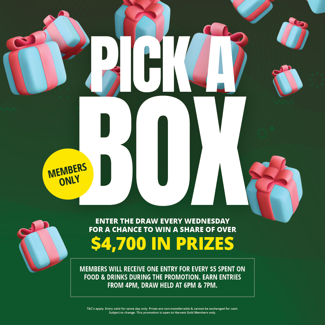 HH_Pick A Box_MainArtwork_TCI_3 HH_Pick A Box_MainArtwork_TCI_3